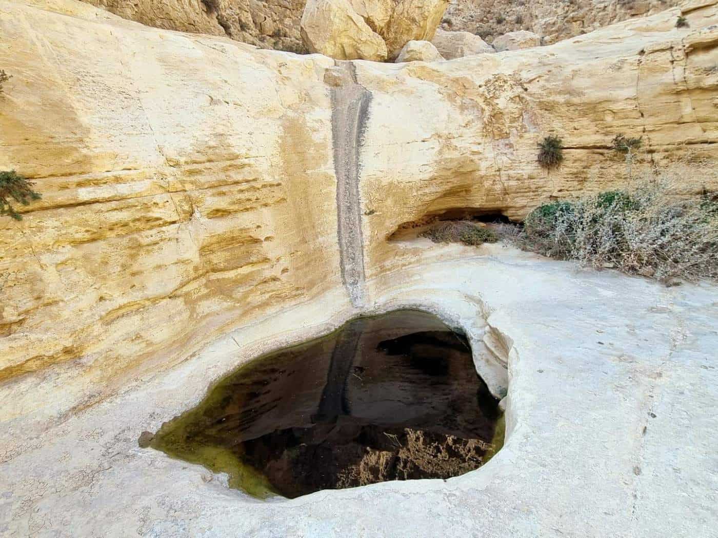 נחל אבוב