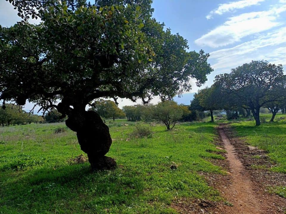 בית קשת