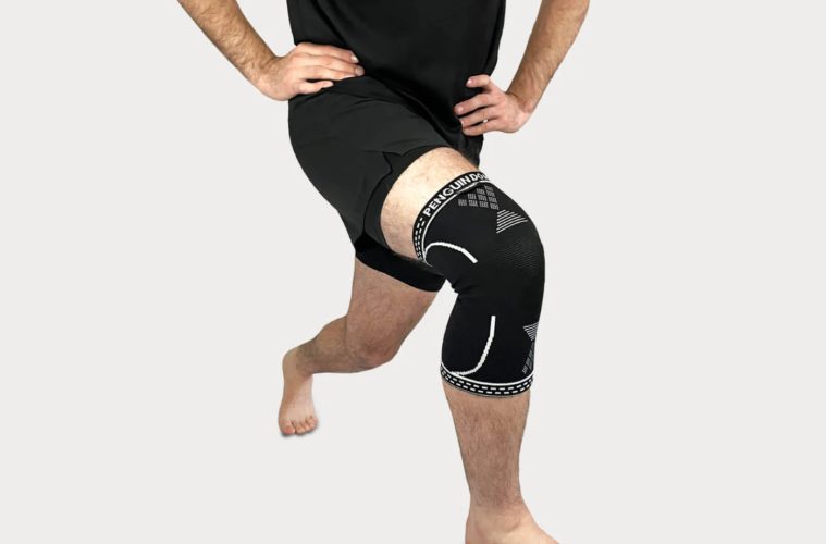 פינגווין דוג'ו