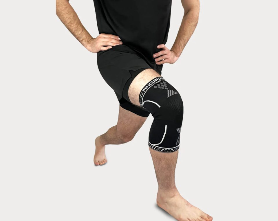 פינגווין דוג'ו