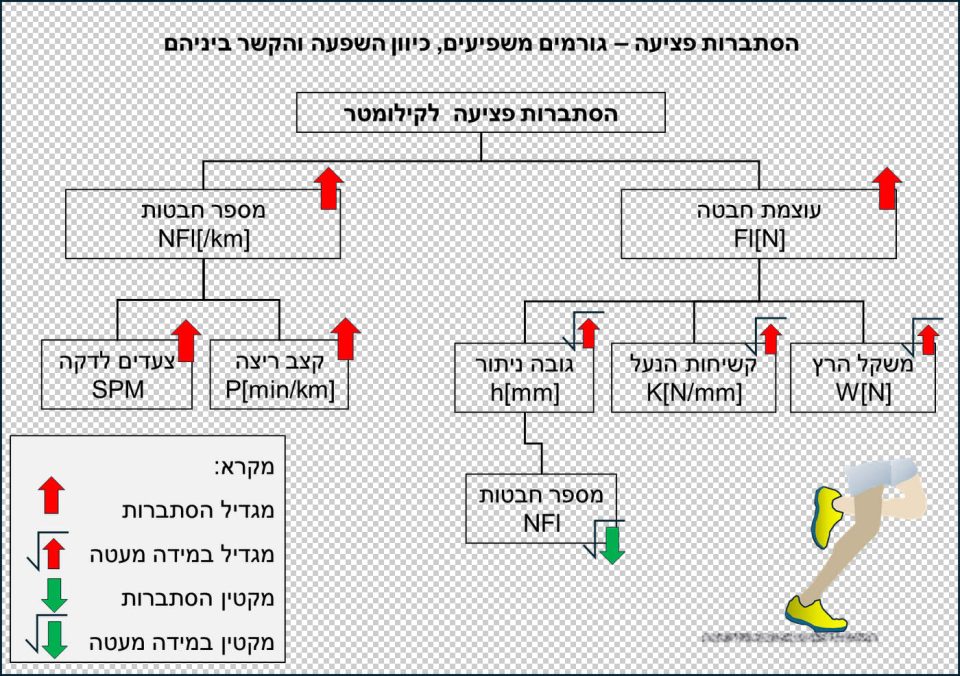 סוליה