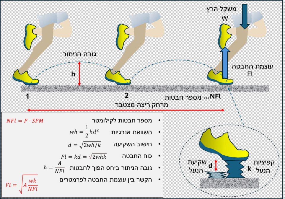 סוליה