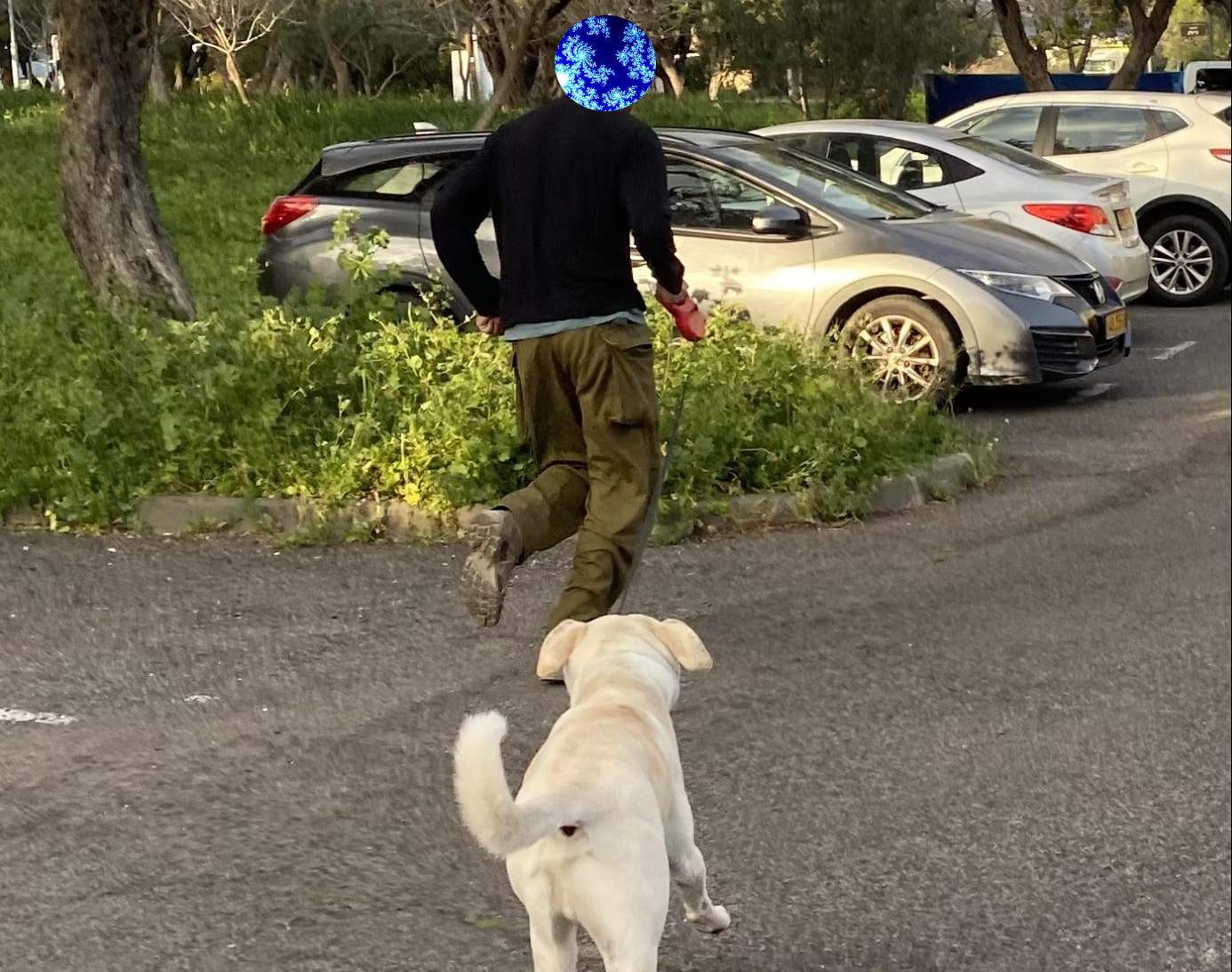 סטראבה