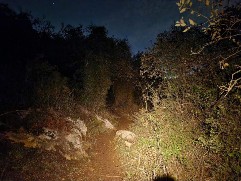ריצה