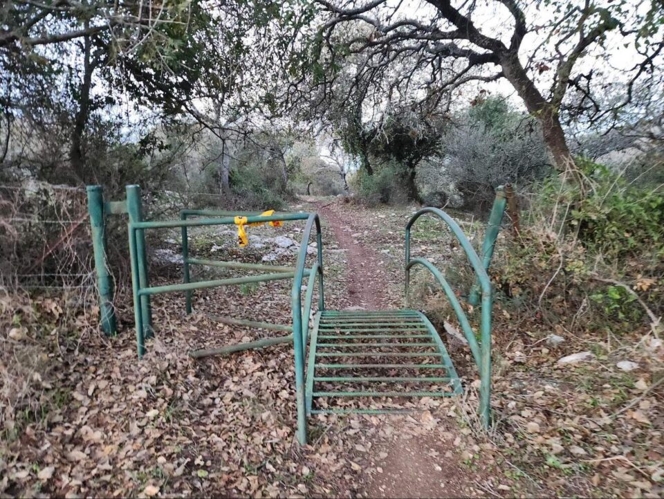 ריצת שטח