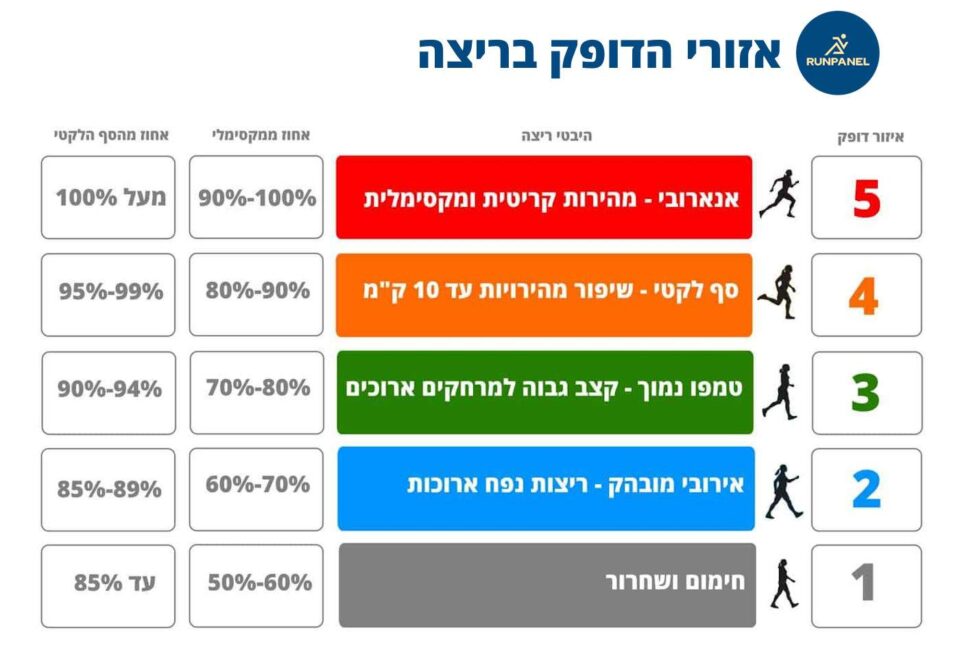 זון 3