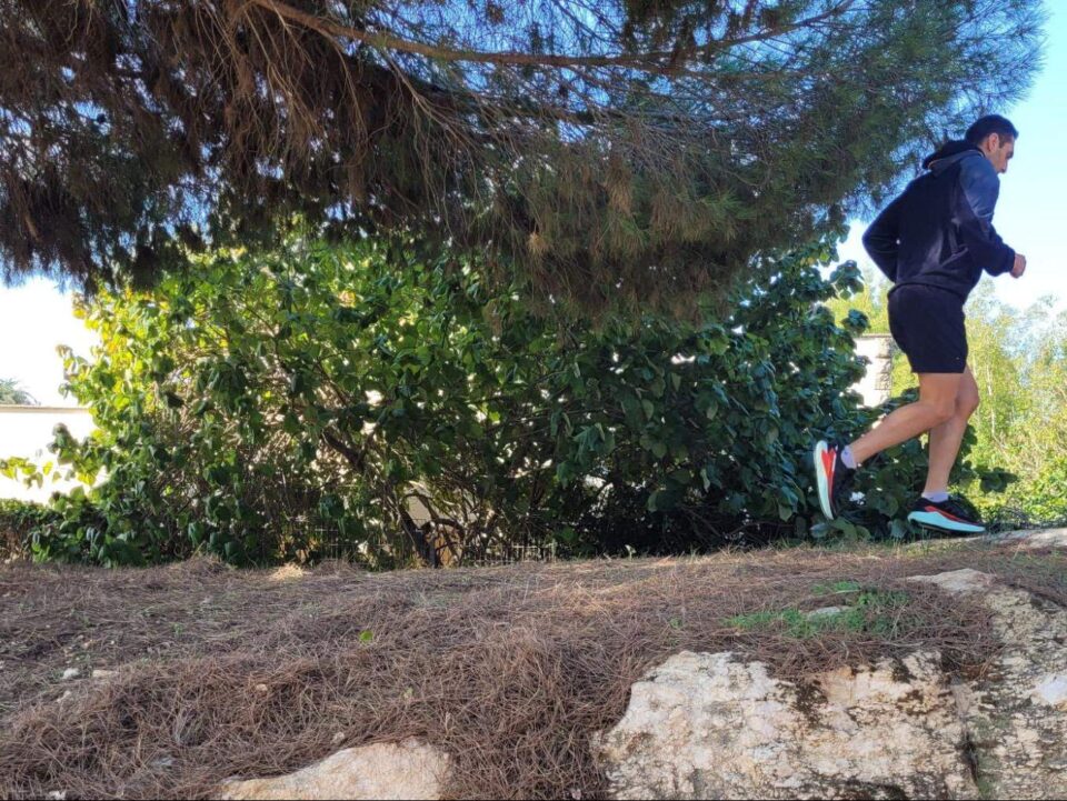 סלומון