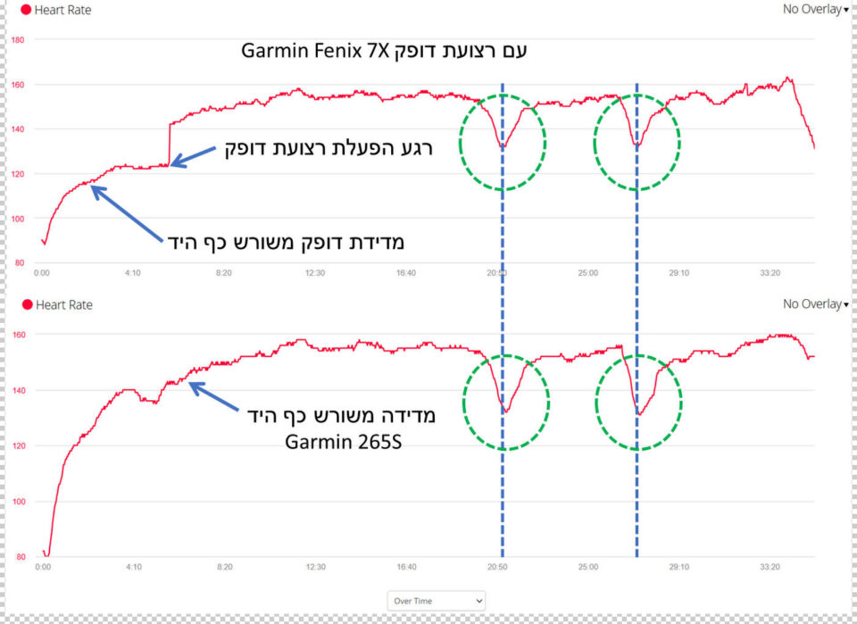 גרף