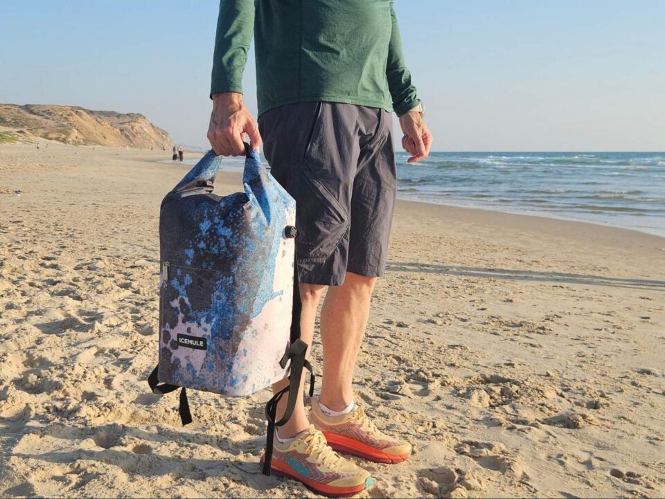 צידנית