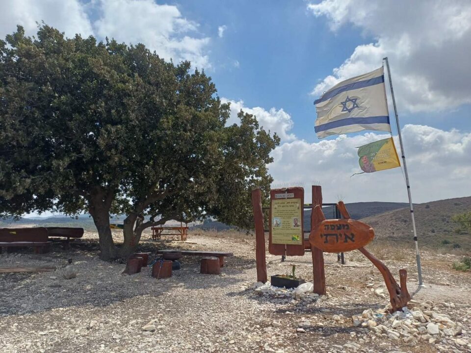 דגל ישראל