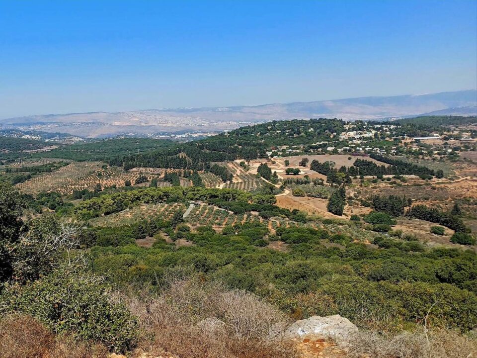 טבע