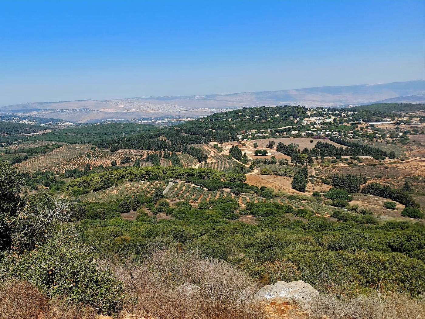 טבע