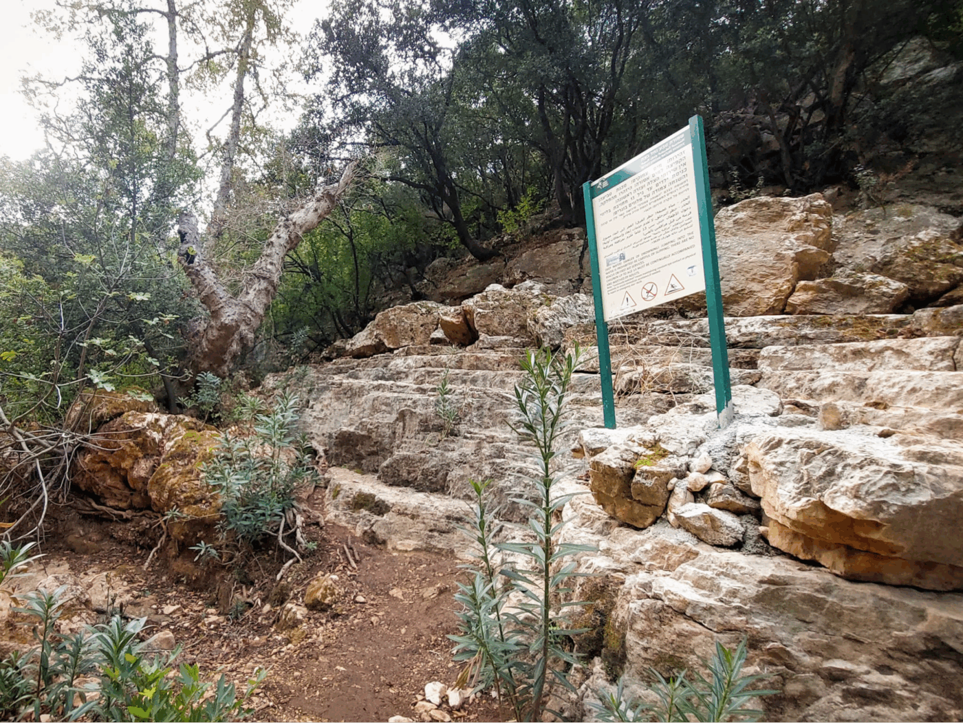 נחל בצת