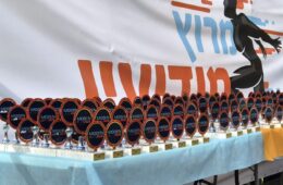 מרוץ מודיעין