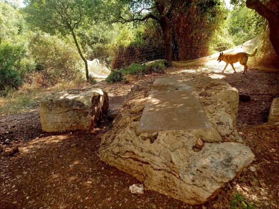 הר חורשן